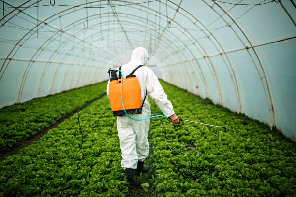 Best Pest Prevention Services  in Lynn, IN