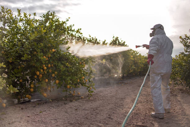 Best Exterminator Services  in Lynn, IN