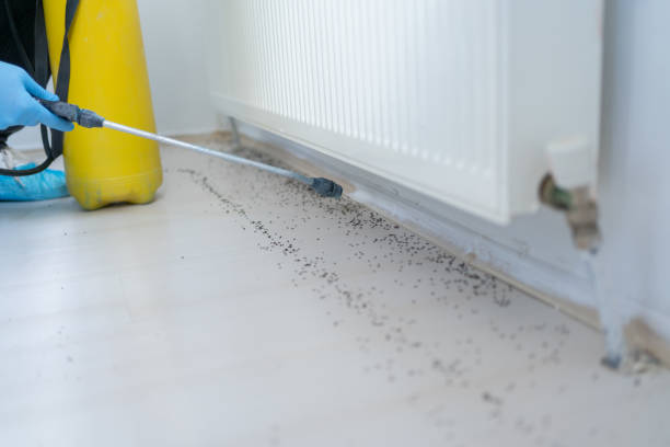 Best Rat Extermination Near Me  in Lynn, IN