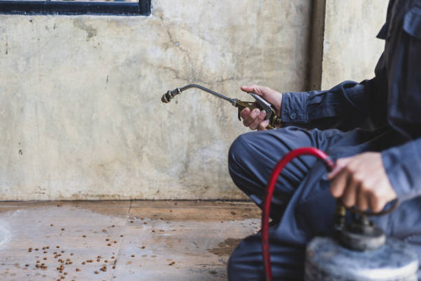 Best Termite Control Services  in Lynn, IN
